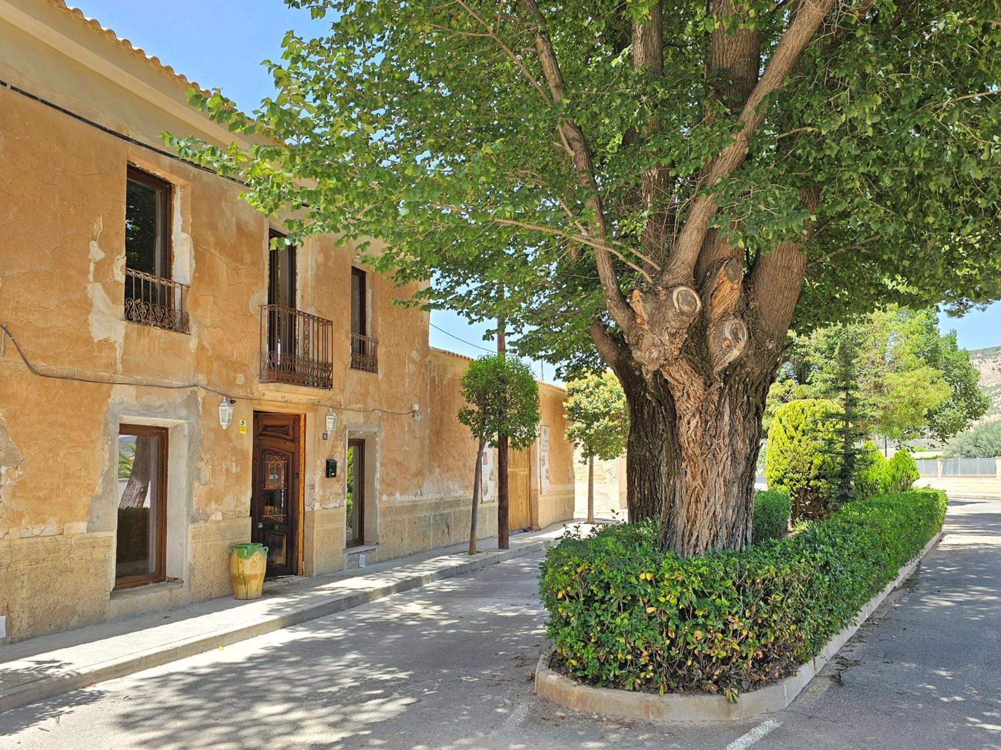 Bed and Breakfast Casa Rodriguillo Pinoso Exterior foto